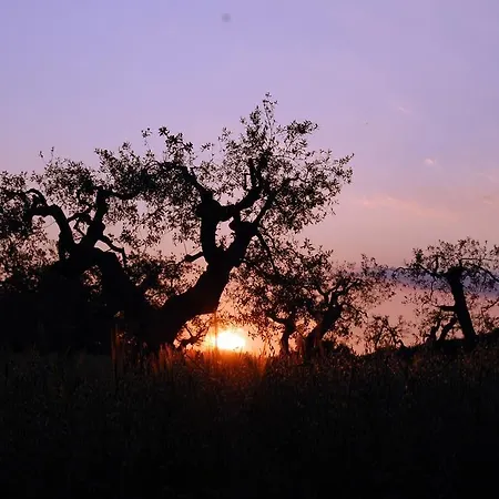 Masseria Rocchella Locorotondo